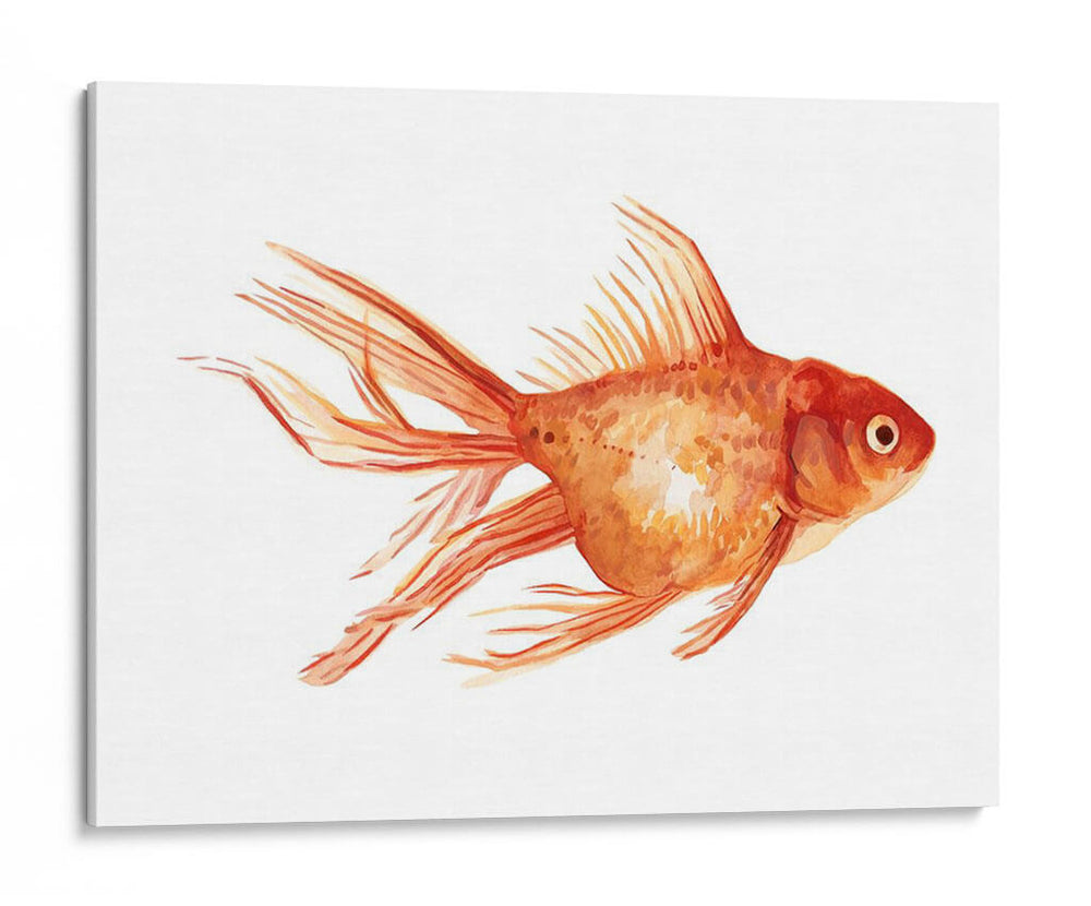Goldfish Ornamental Ii - Emma Scarvey | Cuadro decorativo de Canvas Lab