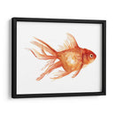Goldfish Ornamental Ii - Emma Scarvey | Cuadro decorativo de Canvas Lab