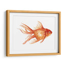 Goldfish Ornamental Ii - Emma Scarvey | Cuadro decorativo de Canvas Lab