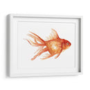 Goldfish Ornamental Ii - Emma Scarvey | Cuadro decorativo de Canvas Lab