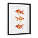 Goldfish Ornamental Iii - Emma Scarvey | Cuadro decorativo de Canvas Lab