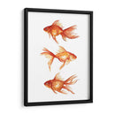 Goldfish Ornamental Iii - Emma Scarvey | Cuadro decorativo de Canvas Lab