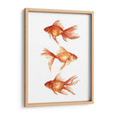 Goldfish Ornamental Iii - Emma Scarvey | Cuadro decorativo de Canvas Lab