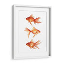 Goldfish Ornamental Iii - Emma Scarvey | Cuadro decorativo de Canvas Lab