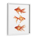 Goldfish Ornamental Iii - Emma Scarvey | Cuadro decorativo de Canvas Lab