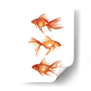 Goldfish Ornamental Iii - Emma Scarvey | Cuadro decorativo de Canvas Lab