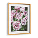 Rose Rhapsody I - Melissa Wang | Cuadro decorativo de Canvas Lab