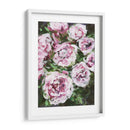 Rose Rhapsody I - Melissa Wang | Cuadro decorativo de Canvas Lab