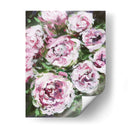 Rose Rhapsody I - Melissa Wang | Cuadro decorativo de Canvas Lab