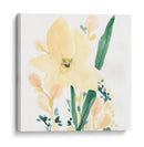 Essence Garden Ii - June Erica Vess | Cuadro decorativo de Canvas Lab