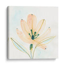 Essence Garden Vi - June Erica Vess | Cuadro decorativo de Canvas Lab