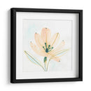 Essence Garden Vi - June Erica Vess | Cuadro decorativo de Canvas Lab