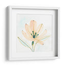 Essence Garden Vi - June Erica Vess | Cuadro decorativo de Canvas Lab