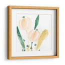 Essence Garden Viii - June Erica Vess | Cuadro decorativo de Canvas Lab