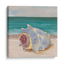 Ella Vende Conchas Marianas I - Alicia Ludwig | Cuadro decorativo de Canvas Lab