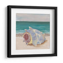 Ella Vende Conchas Marianas I - Alicia Ludwig | Cuadro decorativo de Canvas Lab