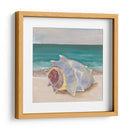 Ella Vende Conchas Marianas I - Alicia Ludwig | Cuadro decorativo de Canvas Lab