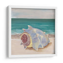 Ella Vende Conchas Marianas I - Alicia Ludwig | Cuadro decorativo de Canvas Lab