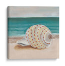 Ella Vende Conchasi Ii - Alicia Ludwig | Cuadro decorativo de Canvas Lab