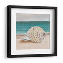 Ella Vende Conchasi Ii - Alicia Ludwig | Cuadro decorativo de Canvas Lab