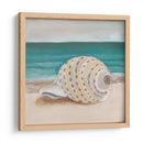 Ella Vende Conchasi Ii - Alicia Ludwig | Cuadro decorativo de Canvas Lab