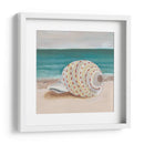 Ella Vende Conchasi Ii - Alicia Ludwig | Cuadro decorativo de Canvas Lab