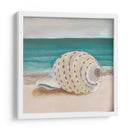 Ella Vende Conchasi Ii - Alicia Ludwig | Cuadro decorativo de Canvas Lab