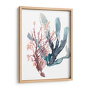 Dulce Alga Mar - Jennifer Goldberger | Cuadro decorativo de Canvas Lab