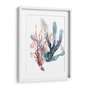 Dulce Alga Mar - Jennifer Goldberger | Cuadro decorativo de Canvas Lab