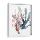 Dulce Alga Mar - Jennifer Goldberger | Cuadro decorativo de Canvas Lab