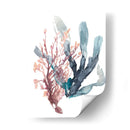 Dulce Alga Mar - Jennifer Goldberger | Cuadro decorativo de Canvas Lab