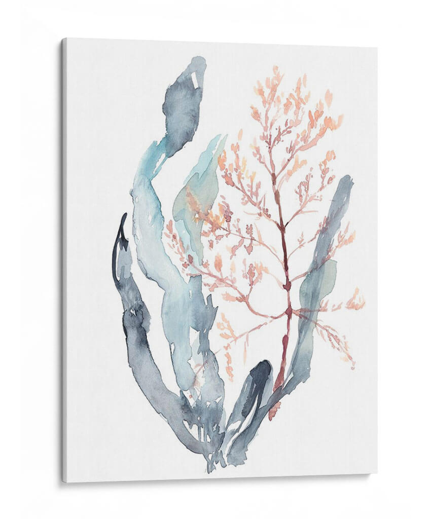 Dulce Alga Mar II - Jennifer Goldberger | Cuadro decorativo de Canvas Lab