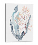 Dulce Alga Mar II - Jennifer Goldberger | Cuadro decorativo de Canvas Lab