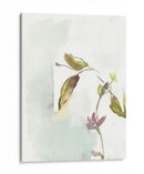 Primeras Flores I - Jennifer Goldberger | Cuadro decorativo de Canvas Lab