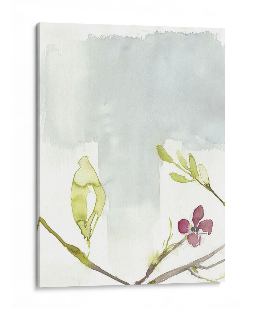 Primeras Floraciones Ii - Jennifer Goldberger | Cuadro decorativo de Canvas Lab