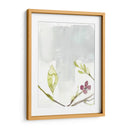 Primeras Floraciones Ii - Jennifer Goldberger | Cuadro decorativo de Canvas Lab
