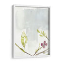 Primeras Floraciones Ii - Jennifer Goldberger | Cuadro decorativo de Canvas Lab