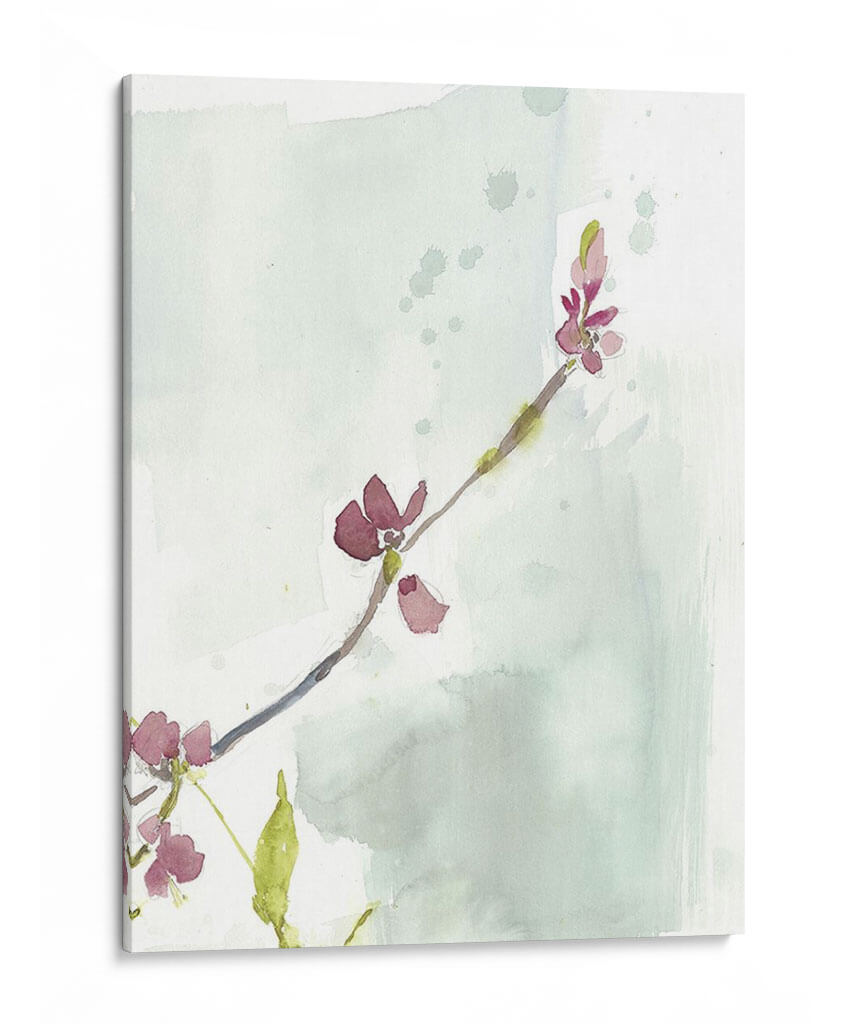 Primeras Floraciones Iii - Jennifer Goldberger | Cuadro decorativo de Canvas Lab