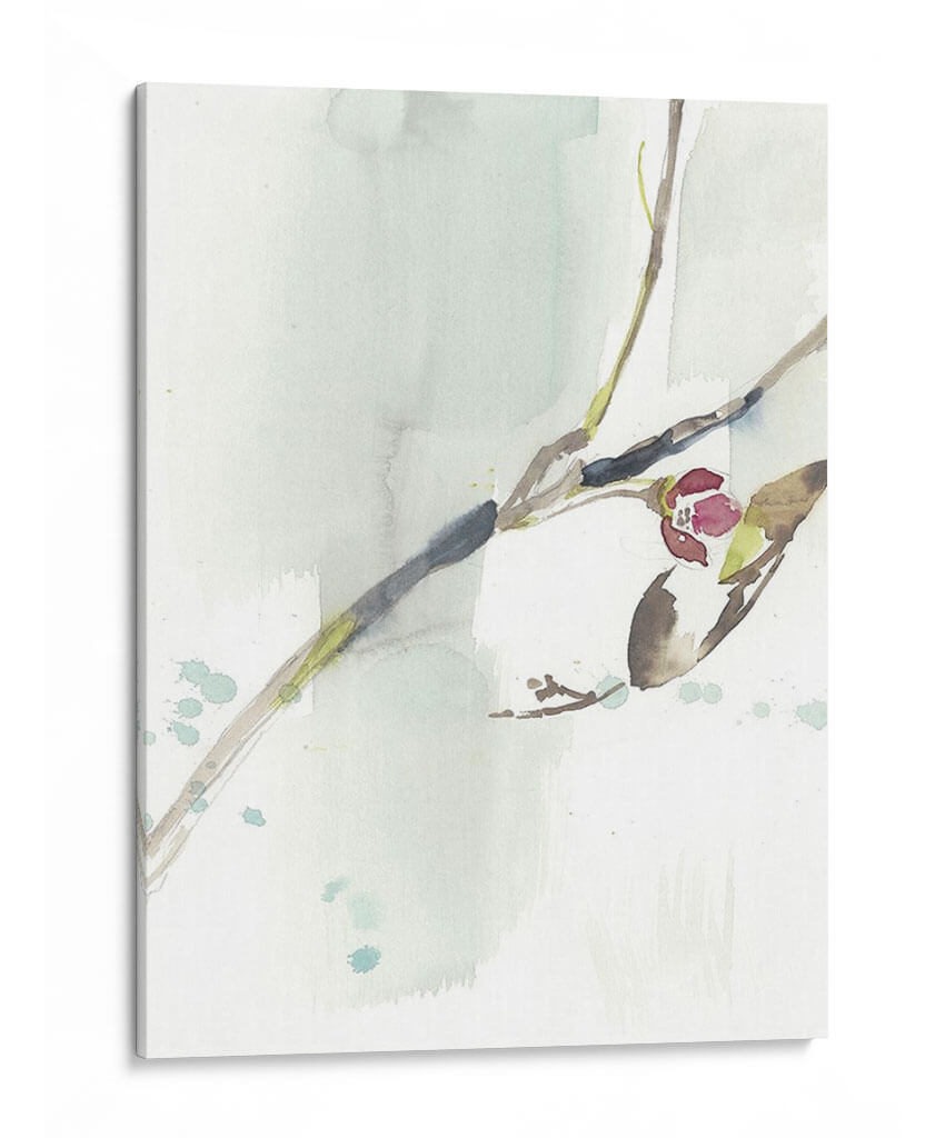 Primeras Floraciones Iv - Jennifer Goldberger | Cuadro decorativo de Canvas Lab