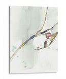 Primeras Floraciones Iv - Jennifer Goldberger | Cuadro decorativo de Canvas Lab