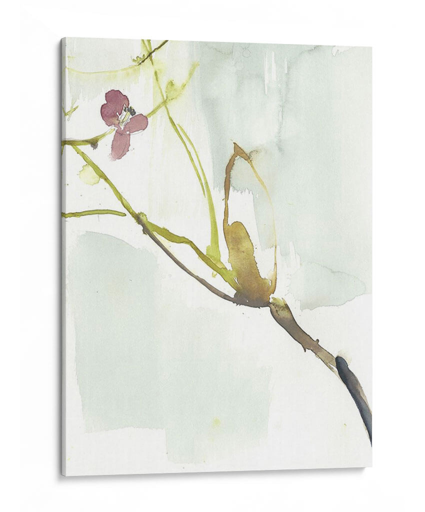 Primeros Flores Vi - Jennifer Goldberger | Cuadro decorativo de Canvas Lab