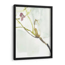 Primeros Flores Vi - Jennifer Goldberger | Cuadro decorativo de Canvas Lab