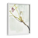 Primeros Flores Vi - Jennifer Goldberger | Cuadro decorativo de Canvas Lab