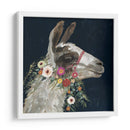 Encantador Llama I - Victoria Borges | Cuadro decorativo de Canvas Lab