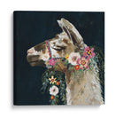 Encantador Llama Ii - Victoria Borges | Cuadro decorativo de Canvas Lab