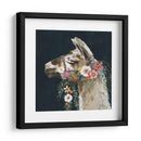 Encantador Llama Ii - Victoria Borges | Cuadro decorativo de Canvas Lab