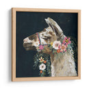 Encantador Llama Ii - Victoria Borges | Cuadro decorativo de Canvas Lab