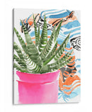 Zebra Suculenta Ii - Jennifer Paxton Parker | Cuadro decorativo de Canvas Lab