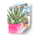 Zebra Suculenta Ii - Jennifer Paxton Parker | Cuadro decorativo de Canvas Lab