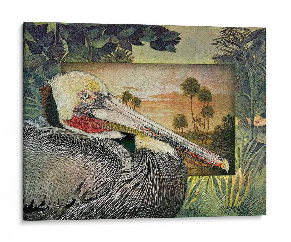 Pelican Paradise I - Steve Hunziker | Cuadro decorativo de Canvas Lab